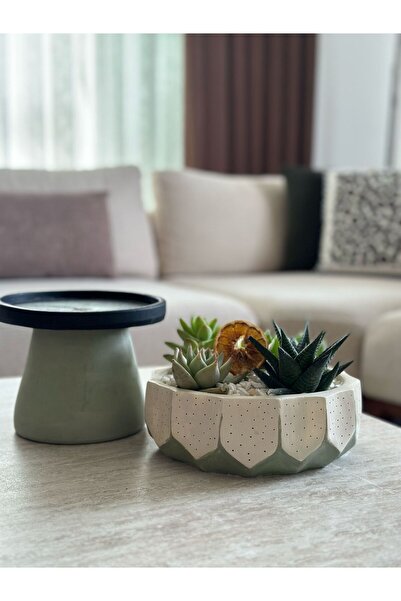 Home (BİTKİLİ) Premium Beton Saksıda Bohem Tasarım Sukulent Aranjman Ev Dekor...
