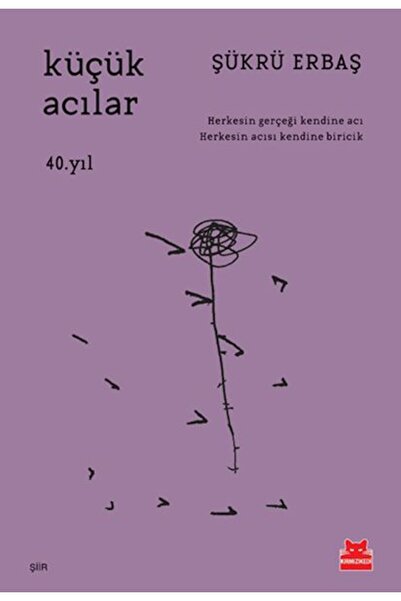Timaş Yayınları Küçük Acılar
