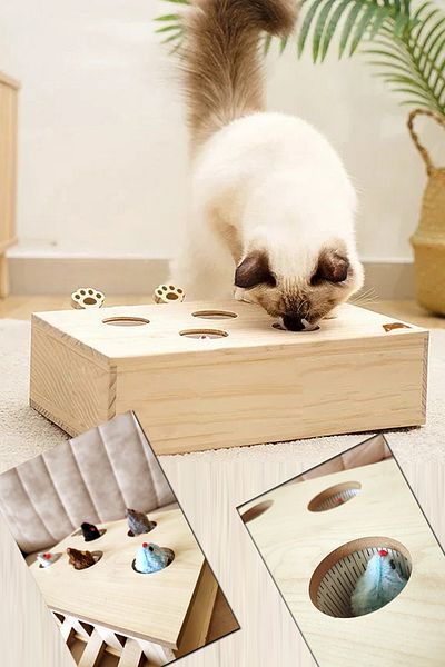 Bundeba Interactive Cat Hunt - Entertainment with Wooden Maze Game