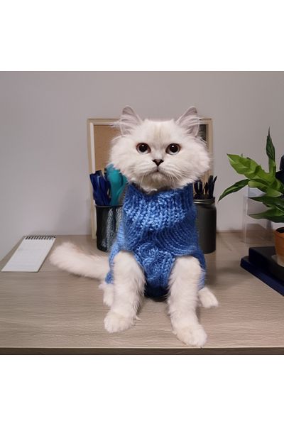 Lady Fify Blue Hair Braided Sweater for Cat Dog