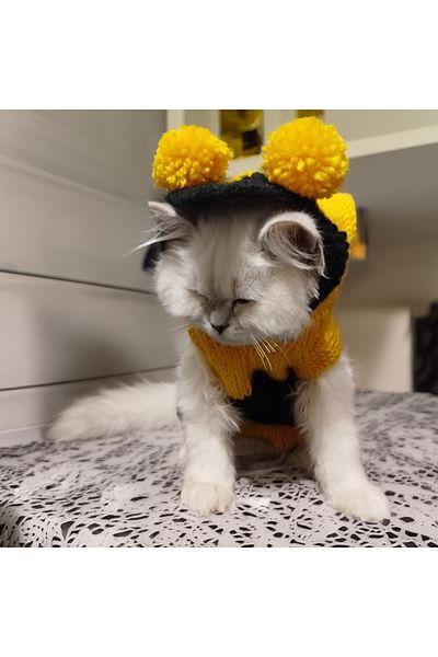 Lady Fify Bee Maya Hooded Sweatshirt for Cat Dog