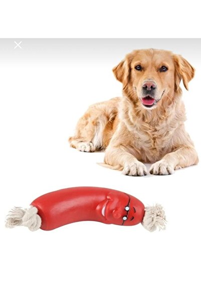 ARSPOLO KÖPEK OYUNCAĞI HALATLI SOSİALİ