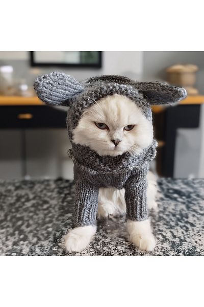 Lady Fify Gray Luminous Bunny Costume Jumpsuit for Cat Dog