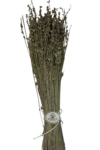 YÜREKÇE لافندر مجفف 1 باقة