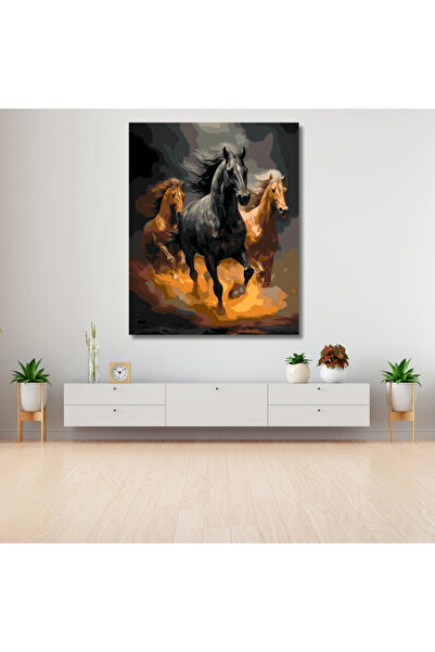 LİLYHOBBYLAND Sayılarla Boyama Hobi Seti Renkli Baskılı (ÇERÇEVELİ) 50x65 cm:...