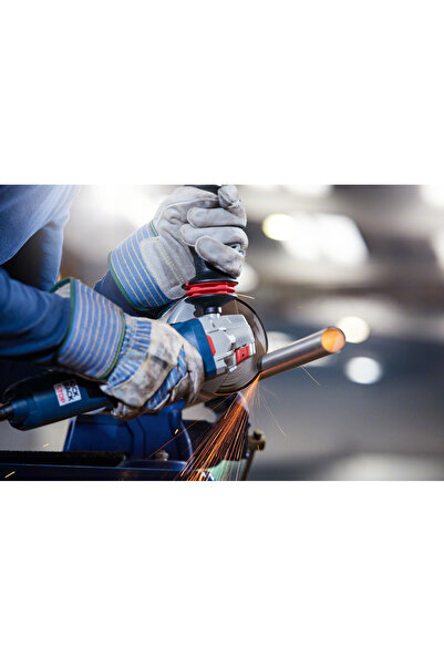 Bosch Kesme Diski(Taş)Paslanmaz Çelik Standard Seri Düz Inox 115*1,0mm - Rapi...