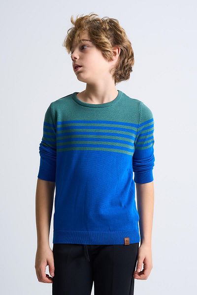 ALEXANDERGARDI Pulover pentru copii cu gât crew (C23-7102)
