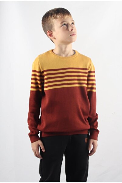 ALEXANDERGARDI Bisiklet Yaka Çocuk Triko Kazak (C23-7102)