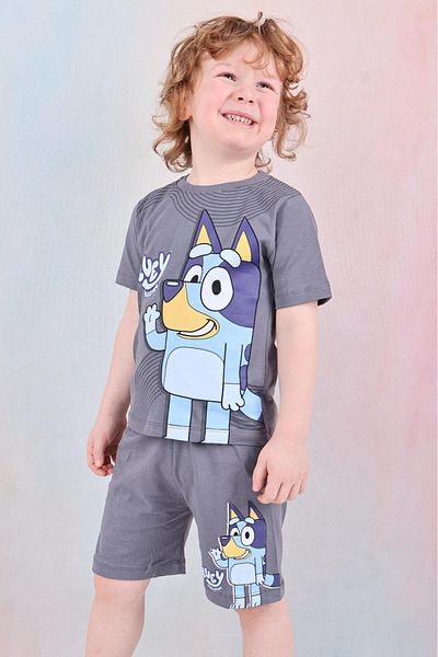 LİLLYPİCCA Boy's Bluey Character Patterned Shorts Suit