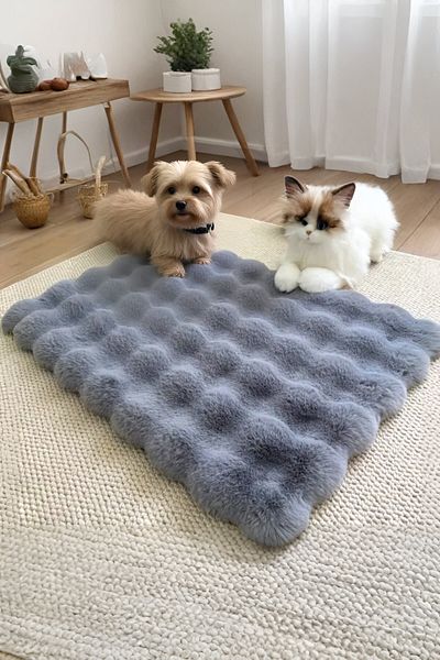 Myevilla Plush Soft Washable Bubble Cat Bed - Dog Bed Cushion Anthracite