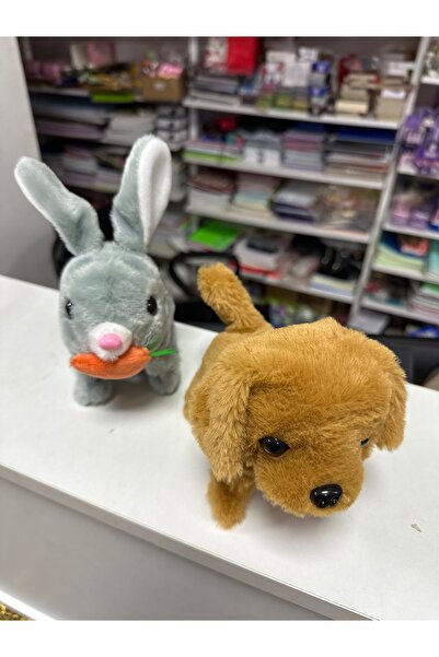 u-toys Yürüyen sesli ısıklı tavşan ve köpek ıkıli set bebk emekleme oyuncagı ...