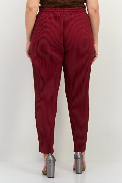 The Giving Movement Women Regular Fit Textured Tapered Pants, Maroon