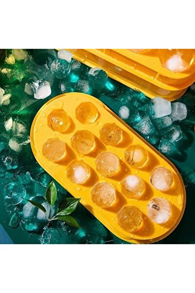 Skygo 13 Bölmeli Kristal Buz Yapma Kalıbı