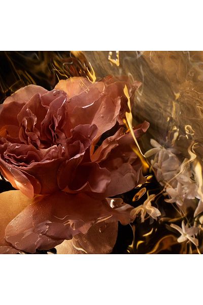Guerlain جيرلان أبسولو أليجوريا سانتال رويال 125 مل