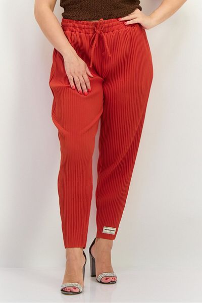 The Giving Movement Women Regular Fit Textured Tapered Pants, Rust