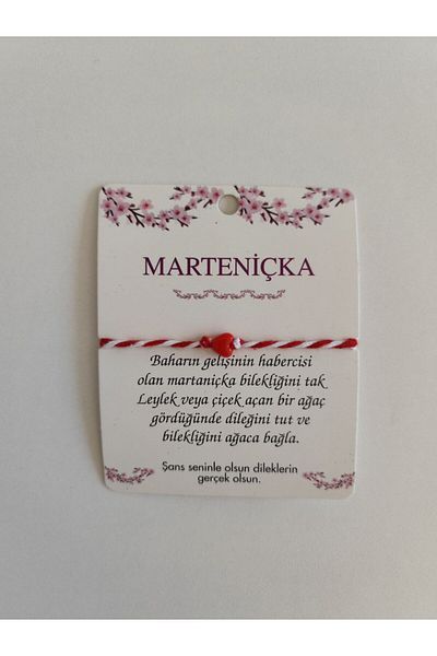 Bebekmağazam سوار مارتينيكا