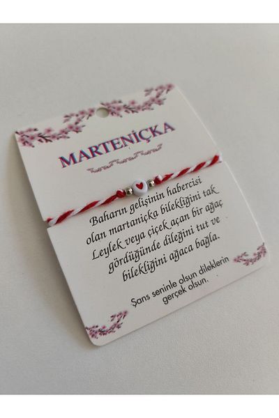 Bebekmağazam سوار مارتينيكا