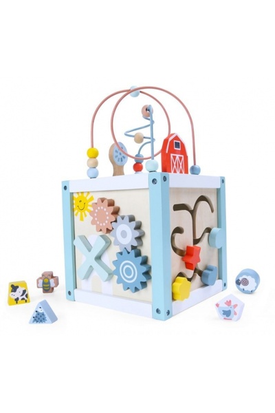 OEM Cub educational din lemn 1020 Ecotoys