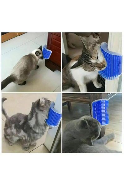jetfast Cat Massage Brush - Mint Scratching Apparatus