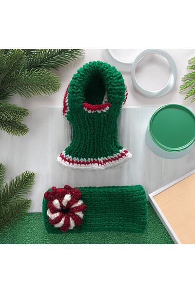 Lady Fify Green Kaşkol Beanie Suit for Cat Dog