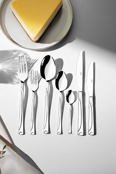 Nehir Fiesta Simple 12 Person 84 Piece Leather Boxed Fork Spoon Knife Set