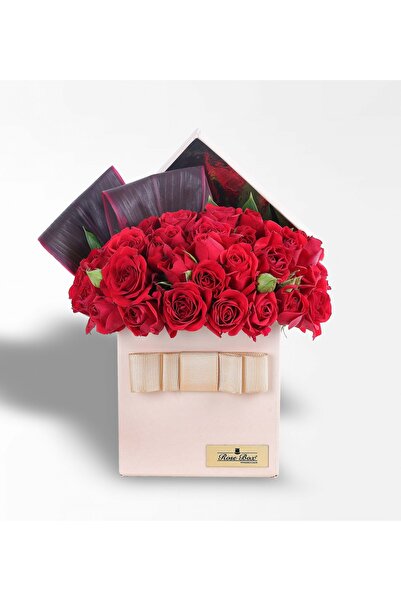 Rosebox Bej Kutuda Kırmızı Çardak Güller
