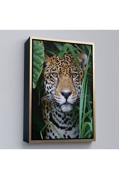 Harita Sepeti Διακοσμητικός πίνακας σε καμβά Leopard με χρυσό πλαίσιο