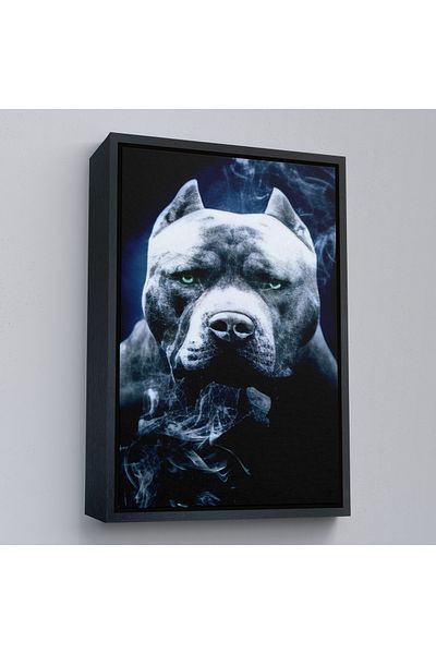 Harita Sepeti Πίνακας σε καμβά με χρυσό πλαίσιο Pit Bull με πράσινα μάτια American Bully Dog