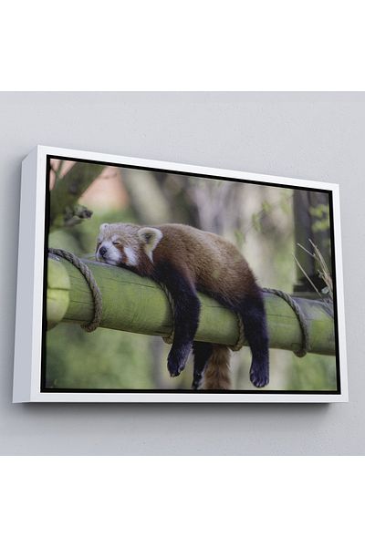 Harita Sepeti Panda roșie cu cadru alb pictură decorativă pe pânză