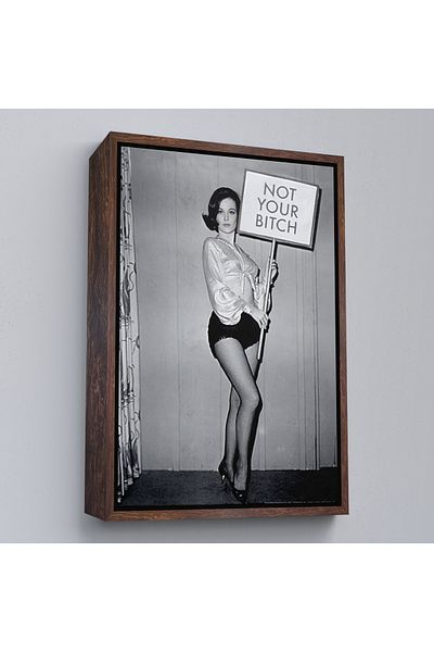 Harita Sepeti Femei cu cadru alb Drepturile femeilor Feminist Vintage Femei Pictură pe pânză