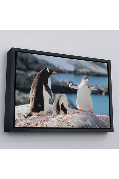 Harita Sepeti Διακοσμητικός πίνακας σε καμβά Happy Penguins με χρυσό πλαίσιο