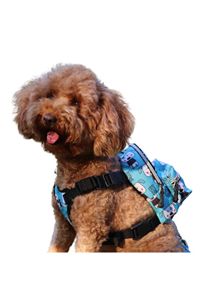 PAWLOOK Cute, Köpek Gögüs Tasması Köpek Sırt Çantası- Tasmalı Köpek Çantası,