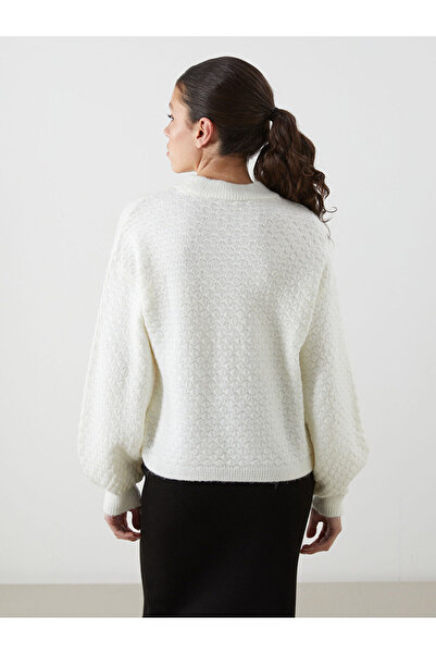 LC Waikiki LCWAIKIKI Classic Ekru Bisiklet Yaka Kendinden Desenli Kadın Triko Kazak