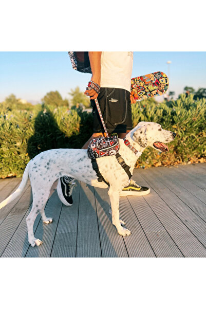 PAWLOOK Köpek Gögüs Tasması - Köpek Sırt Çantası- Skull