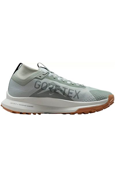 Nike NIKE Pegasus Trail 4 GTX - DJ7926-304