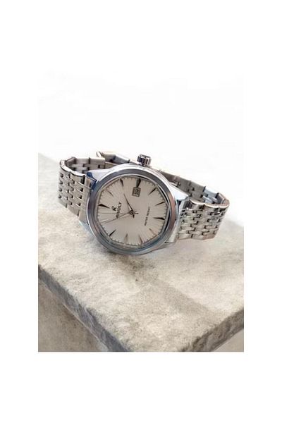 Seazone Men's Stainless Steel Analog Quartz Date Display Watch Easy to Read Fashion Design Waterproof