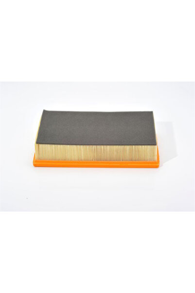 Bosch Air Filter - with Sponge