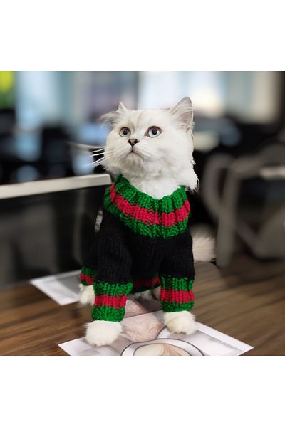 Lady Fify Black Sweatshirt with Green Red Stripes for Cat Dog