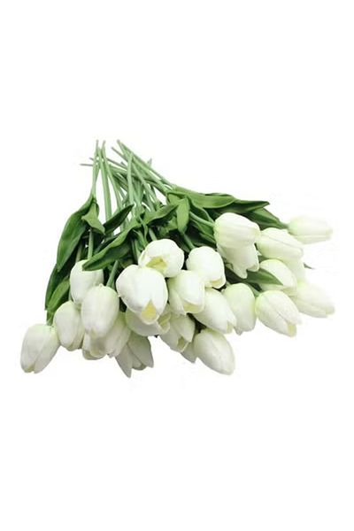 co arma Tulip bouquet