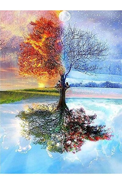 wombhobby Ağaç 2 40x50 Sayılarla Boyama Seti (TUVALE GERİLİ)