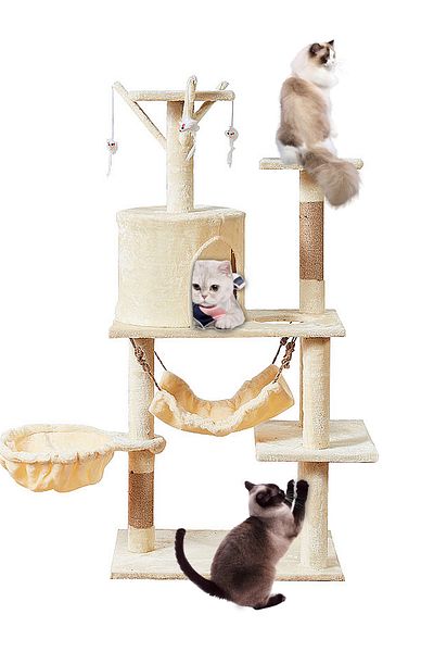 KidLe Cat Climbing Frame Cat Climbing Frame Cat Tree