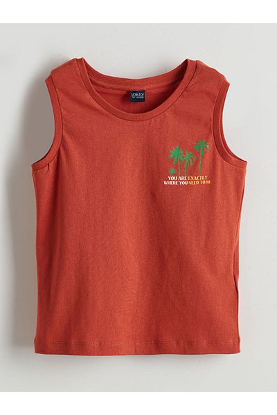 LC Waikiki Lcw Eco Brown Bicycle Collar Male Child Undershirt