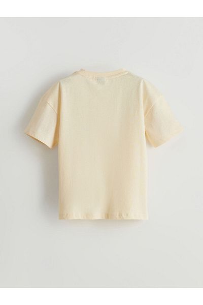 LC Waikiki Crew Neck Boy's T-Shirt