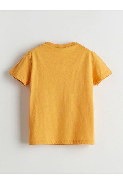 LC Waikiki Crew Neck Printed Boy's T-Shirt