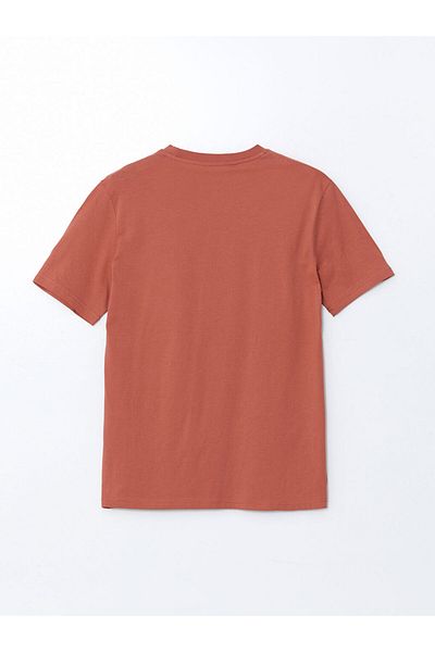 LC Waikiki New Season Crew Neck Printed Combed Cotton Ανδρικό Tisort - S5EG85Z8