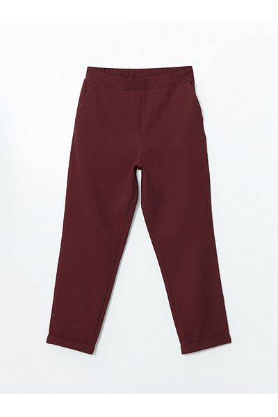 LC Waikiki Lcw Modest Plum Elastic Waist Textured Carrot Cut Women's Trousers