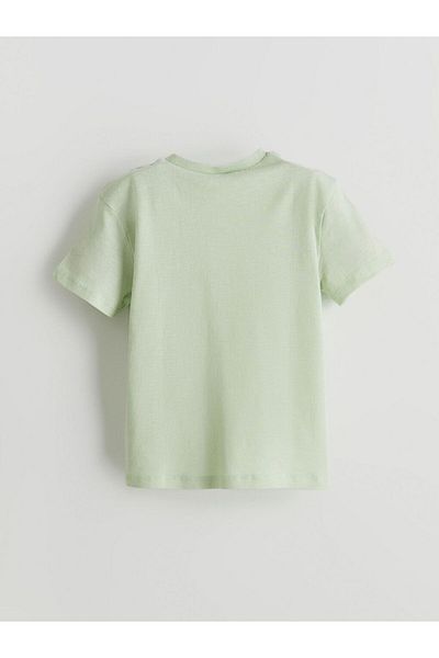 LC Waikiki Sari Crew Neck Basic Boy's T-Shirt