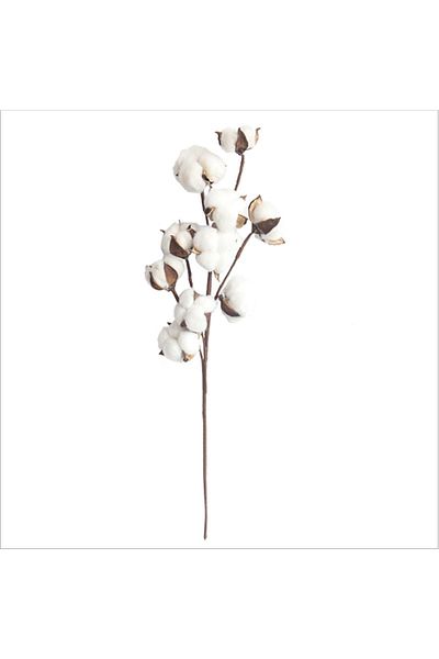 Choice 3pcs cotton Naturally Dried Cotton Cheap Artificial Plants Floral Branch Vases Wedding Garden Party