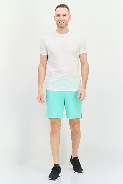 adidas Men Sportswear Fit Embroidered Logo Outdoor Shorts, Light Green