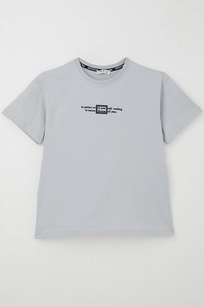 Breeze Boys' T-Shirt with Embossed Lettering Printed, Ages 9-14, Gray